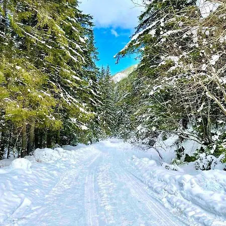 комплекс орлово гнездо *