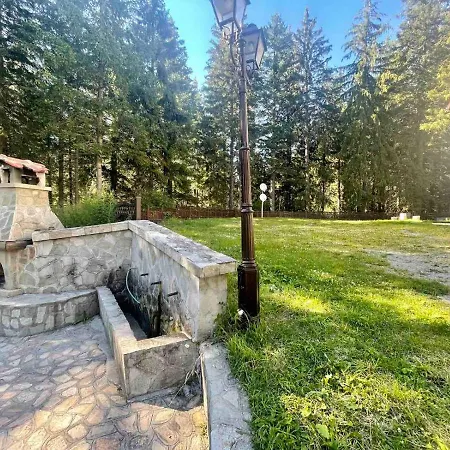 комплекс орлово гнездо * Beli Iskar